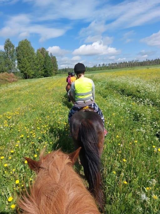 Mökki in Kalkkinen