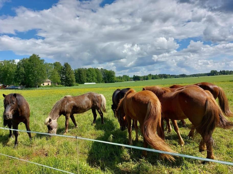 Mökki in Kalkkinen