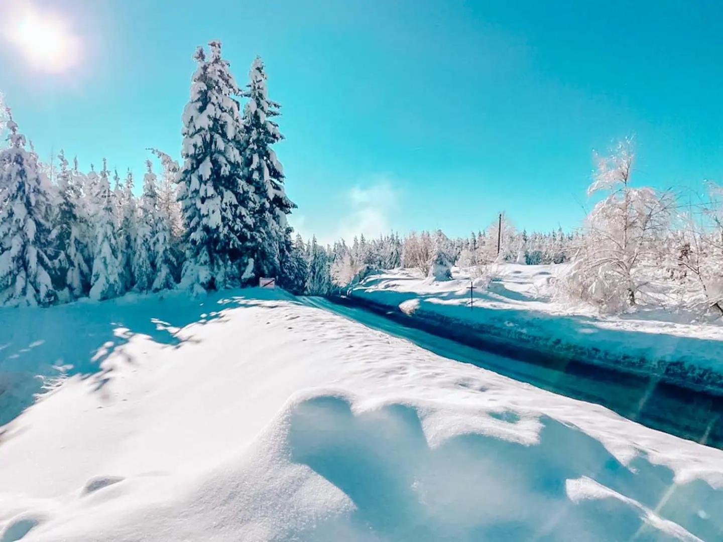 Pur Natur! Wandern und Skifahren - Trahütti Premium Lodges