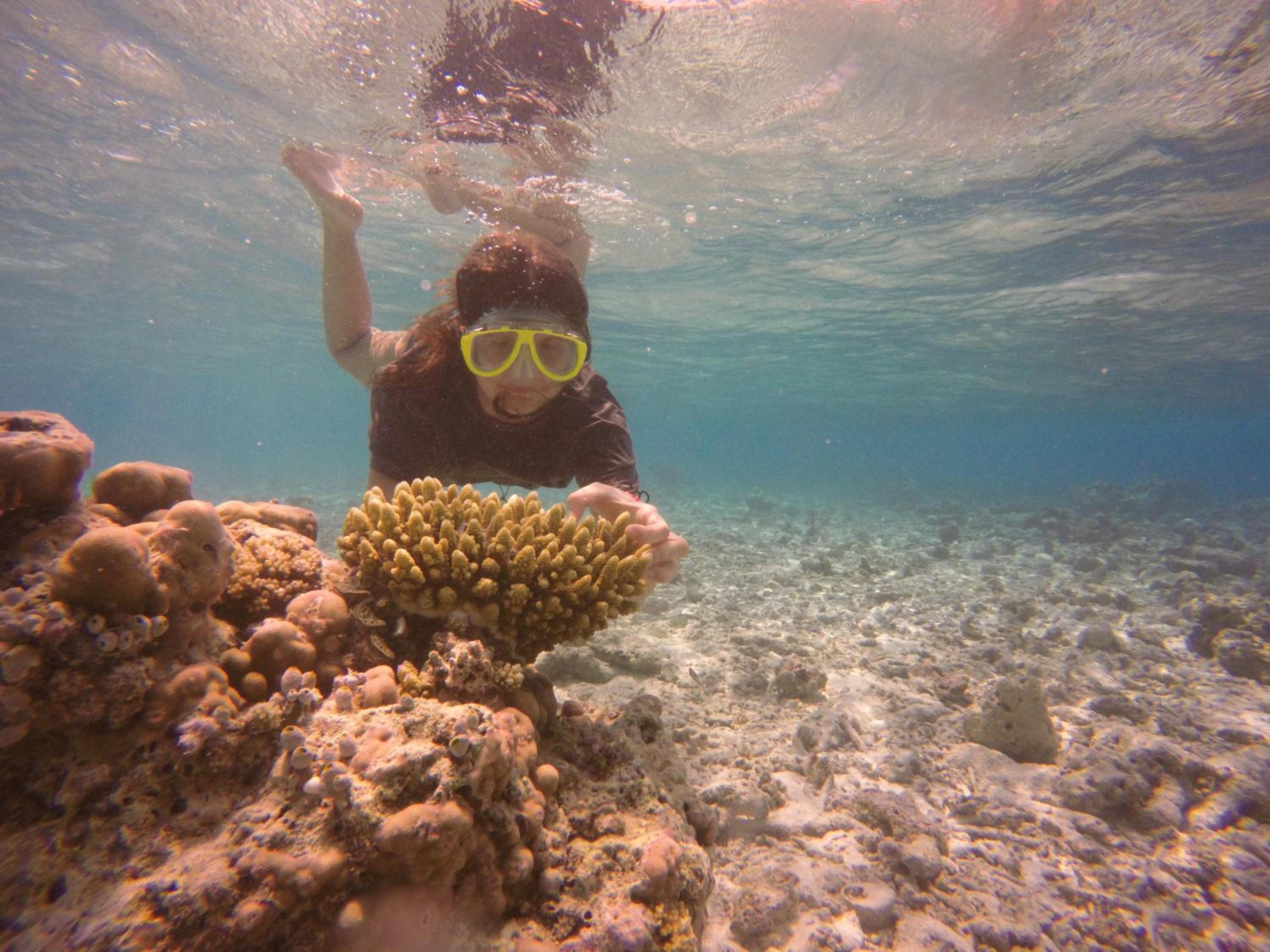 Kaafu Inn Guraidhoo photo 5