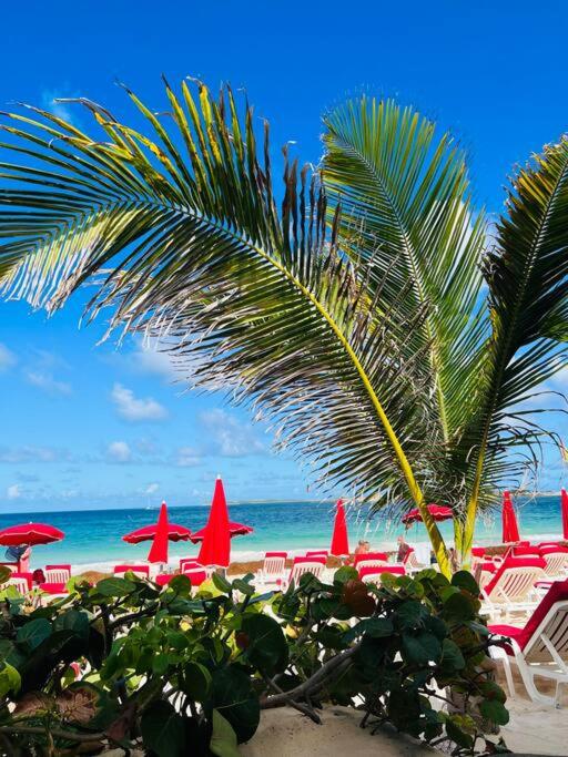 Mont Vernon Secret Magnifique studio sur la plage avec piscine Orient Bay