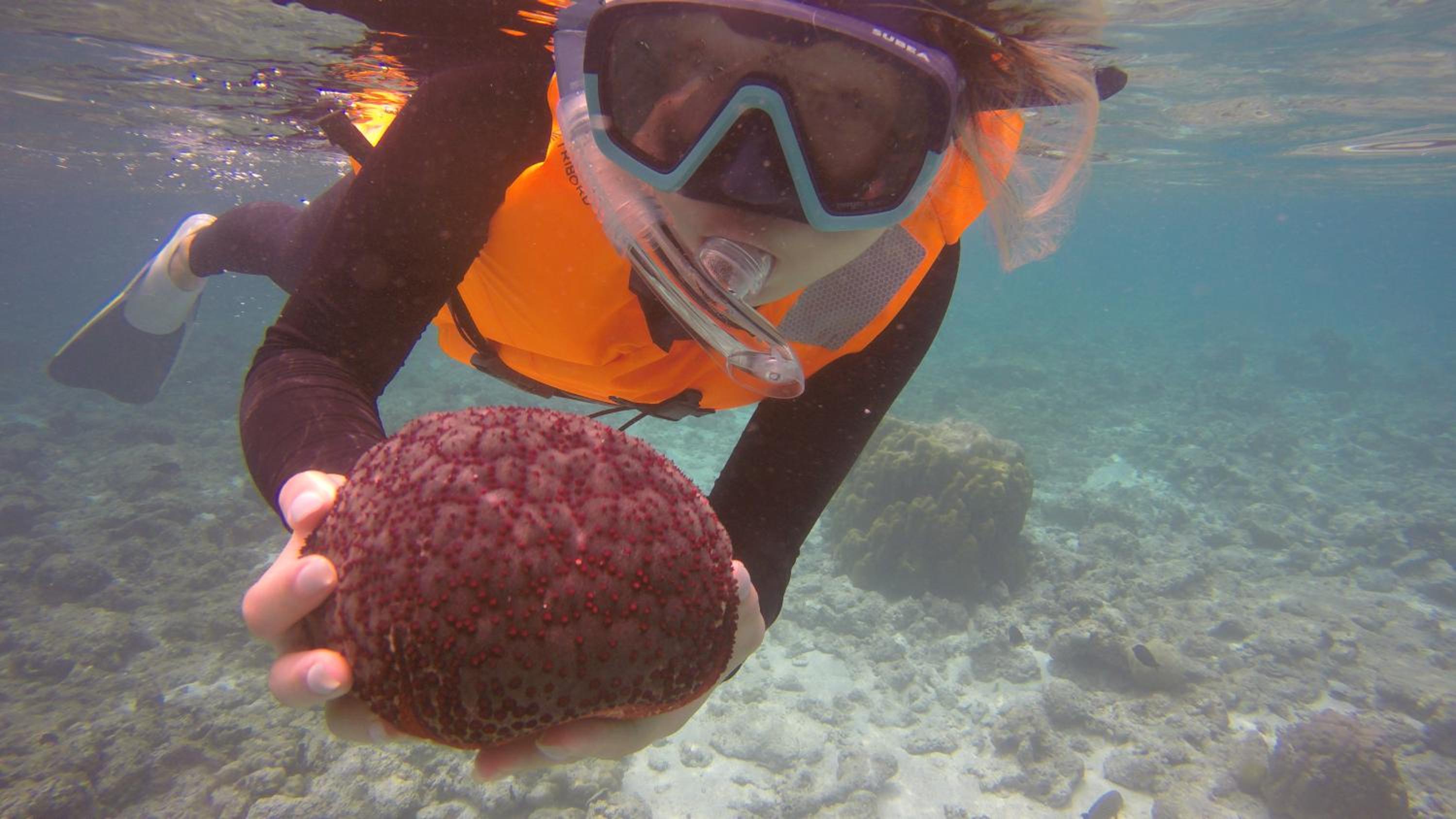 Kaafu Inn Guraidhoo photo 4