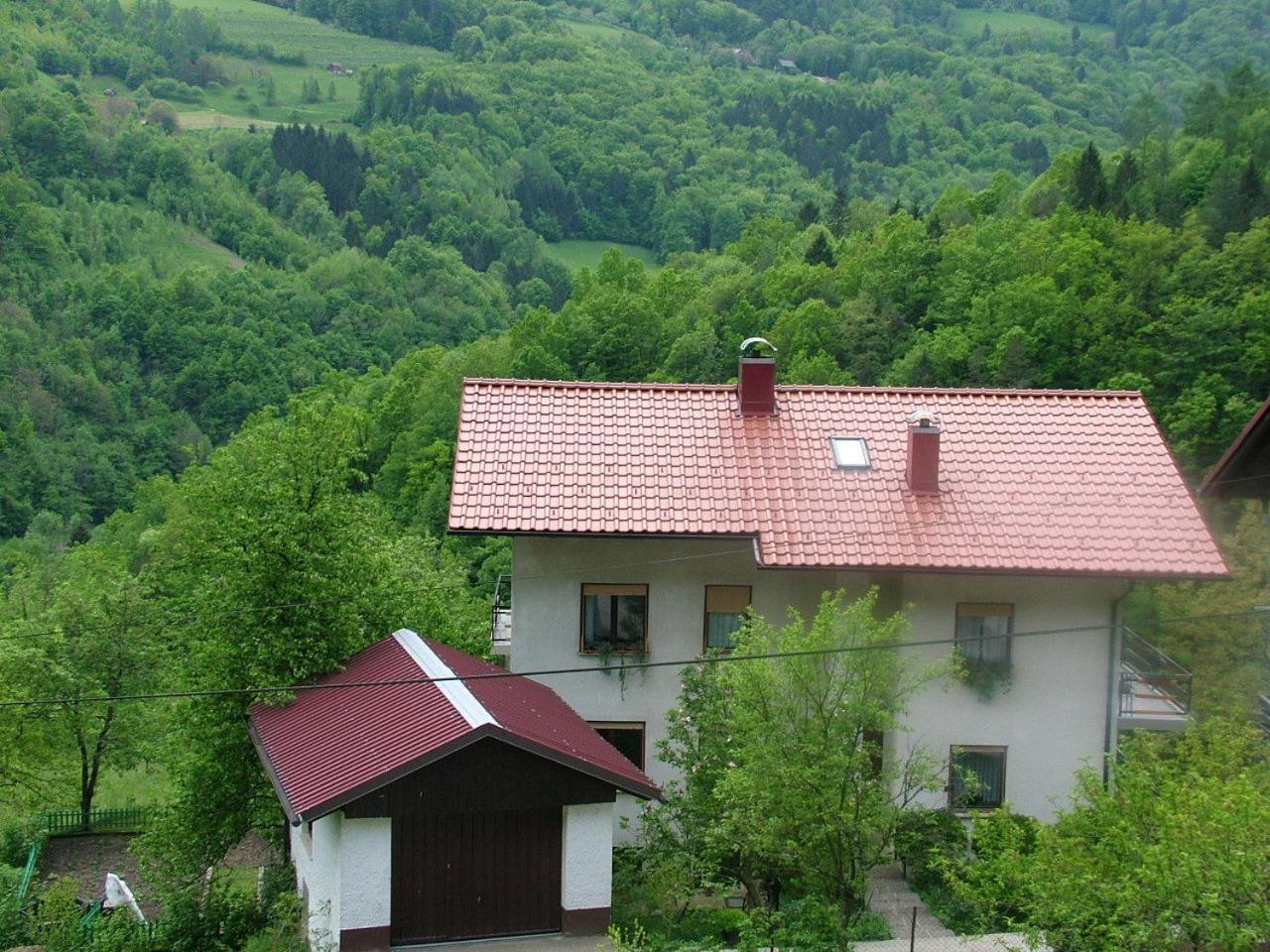 Apartment Blaž