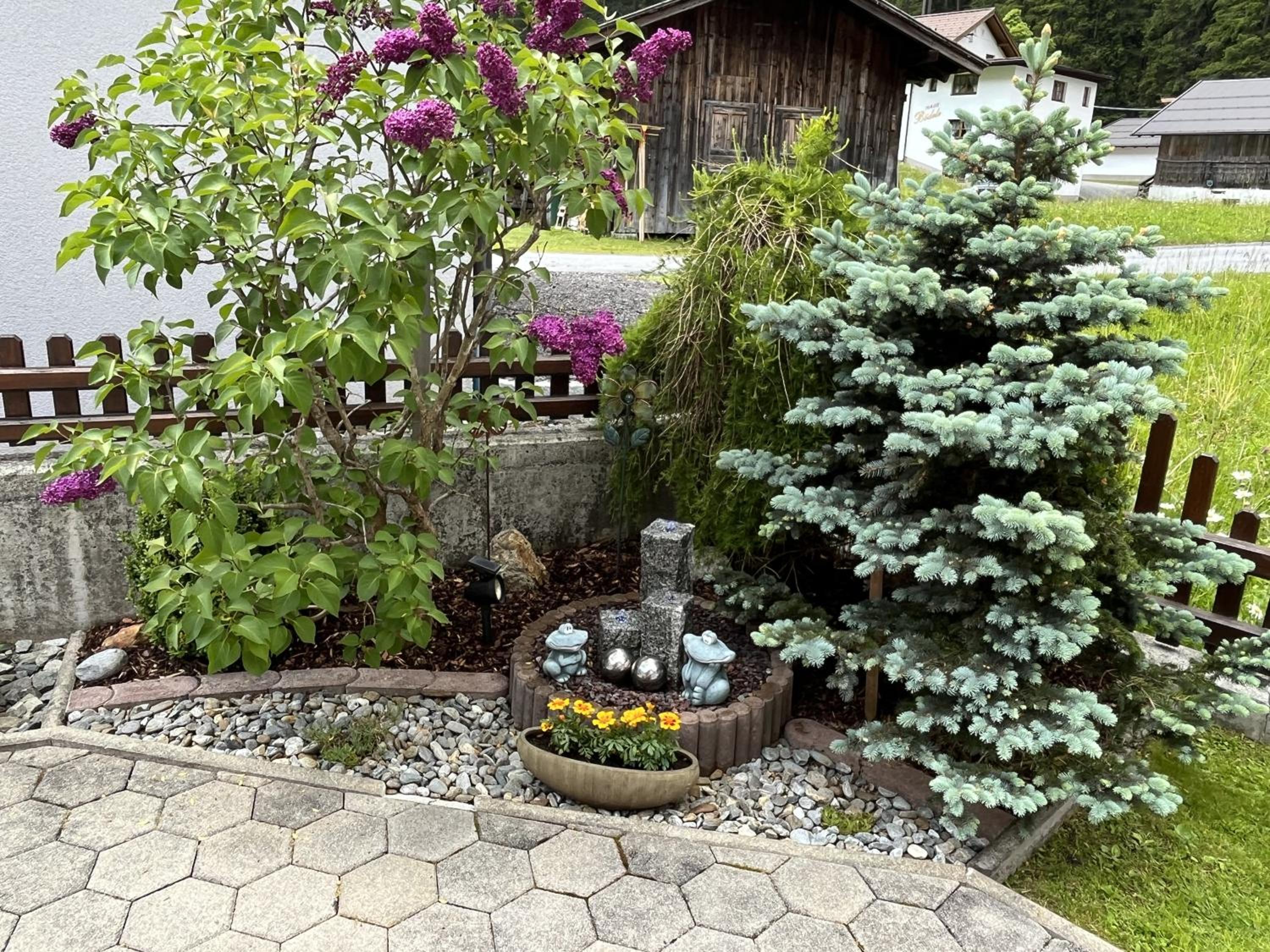 Photo 12