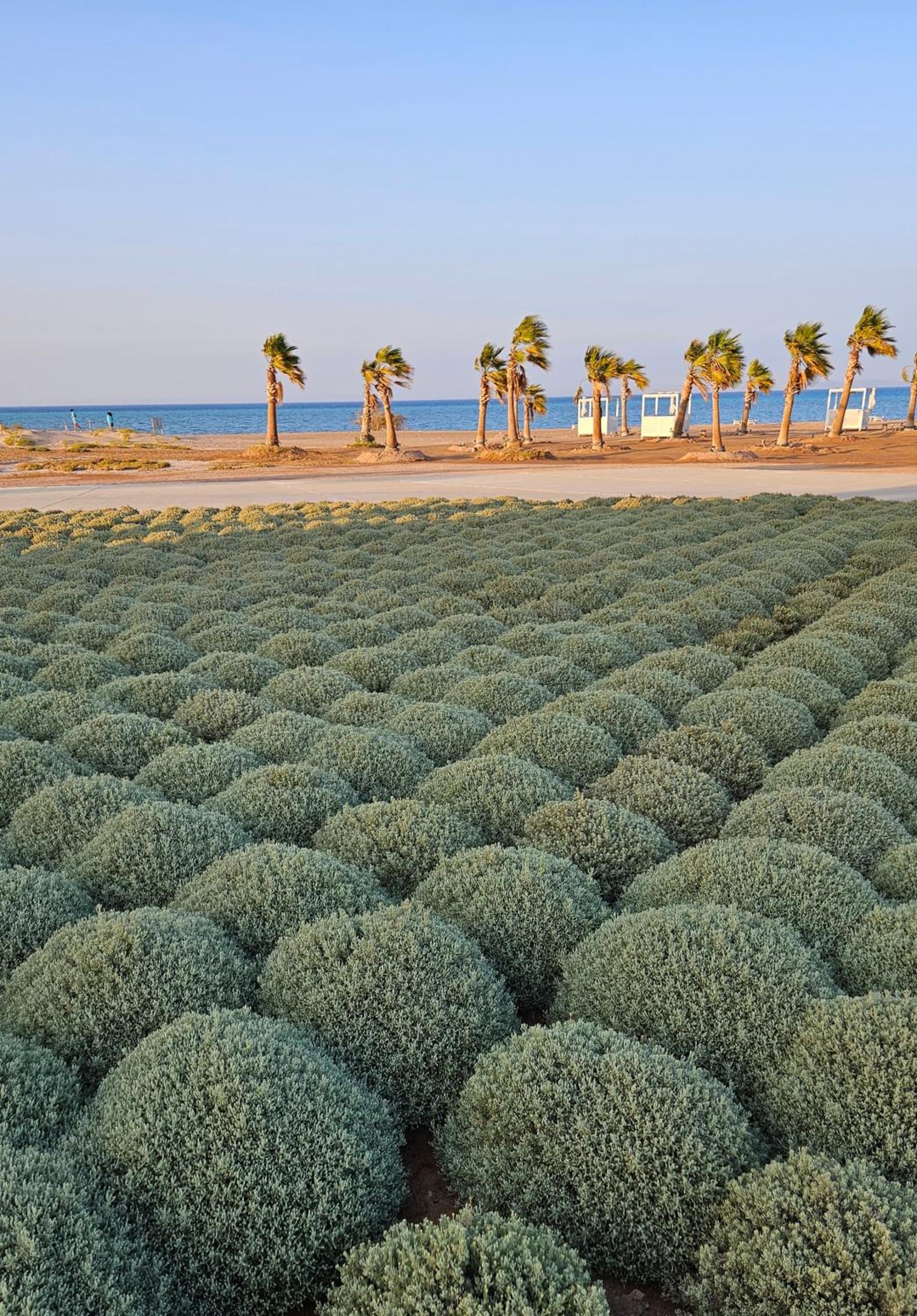 El Gouna Mangroovy Residence Sea View - kitesurfing