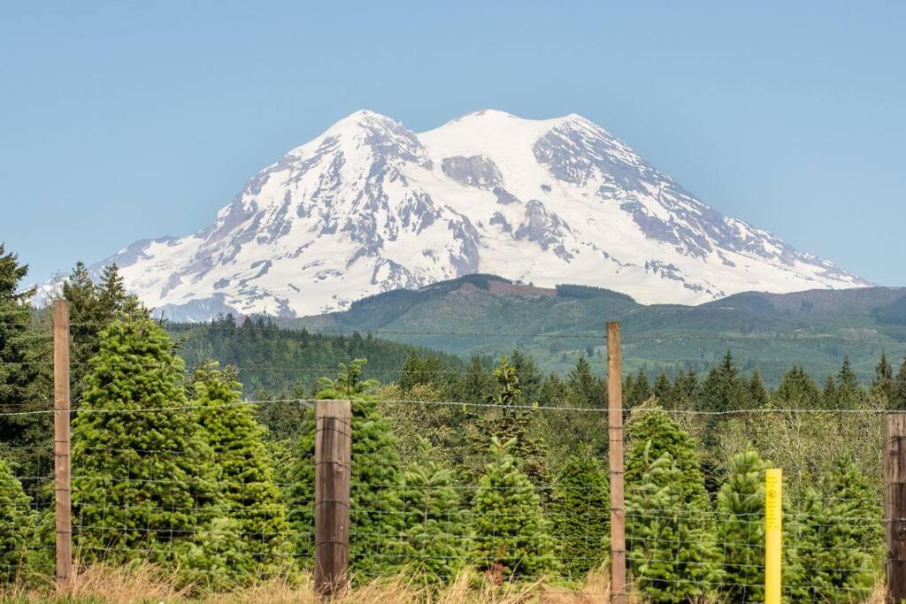 R & R Chalet at Mt. Rainier view 3