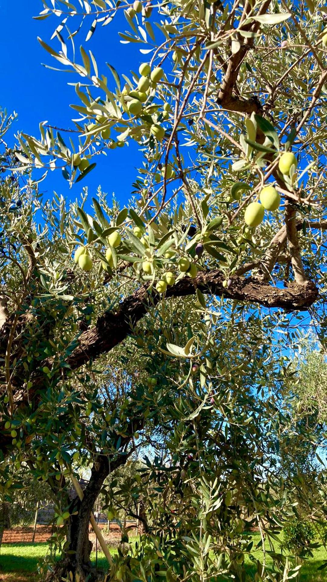 Una Vita In Vacanza photo 4