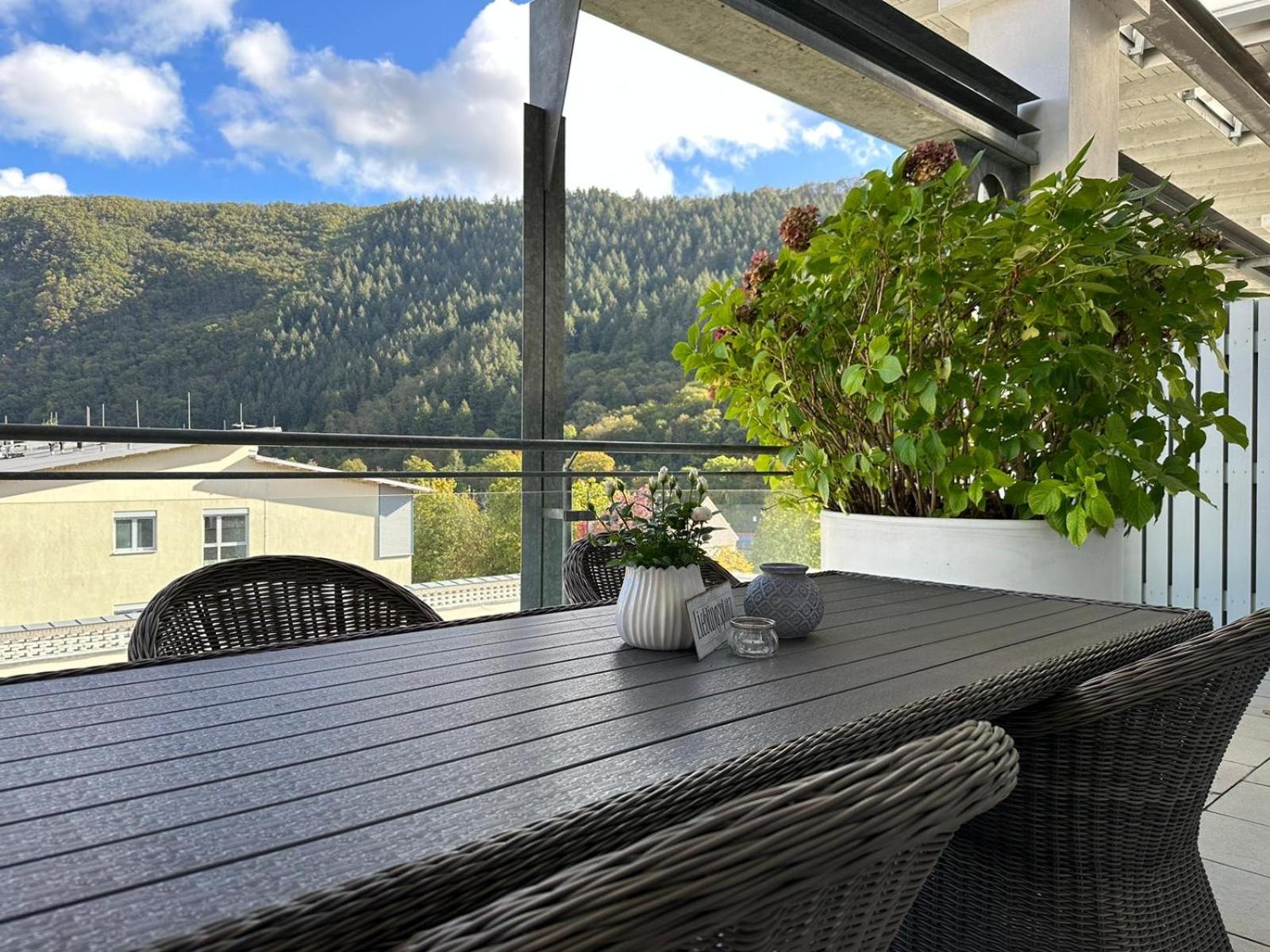 Penthouse Palais Mosel