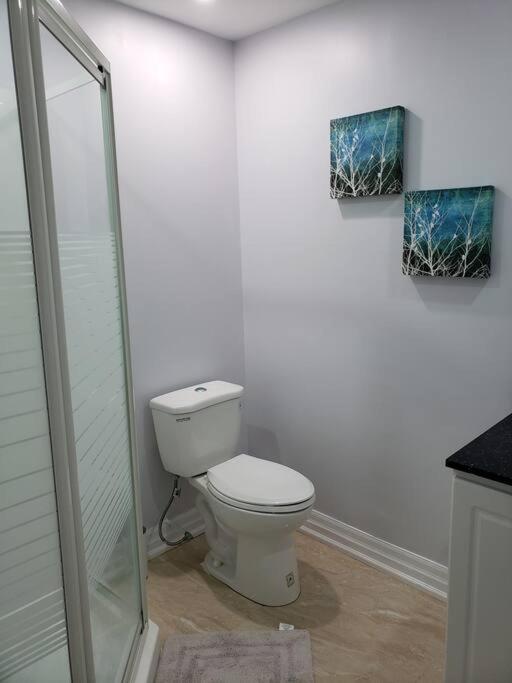 Luxurious 1BR - 1BA Apt Modern Bright with free parking-pc