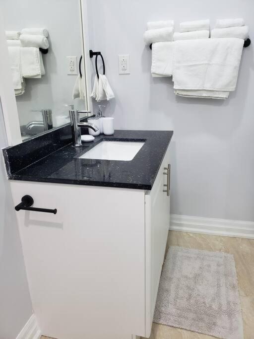 Luxurious 1BR - 1BA Apt Modern Bright with free parking-pc