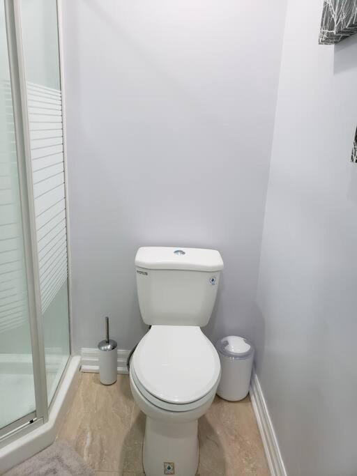 Luxurious 1BR - 1BA Apt Modern Bright with free parking-pc