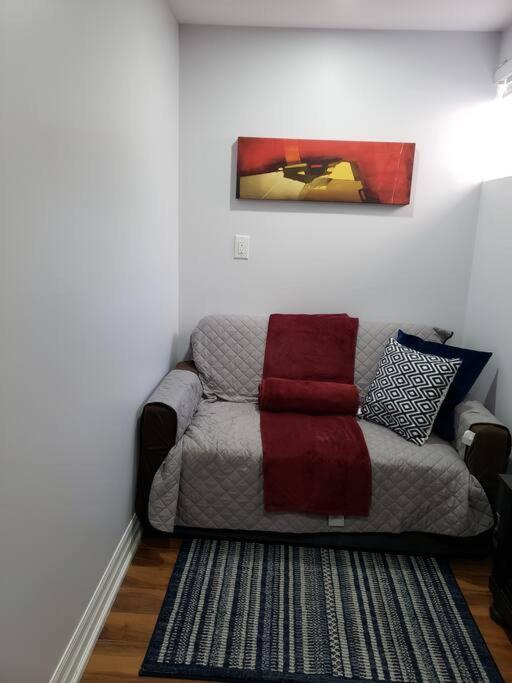 Luxurious 1BR - 1BA Apt Modern Bright with free parking-pc