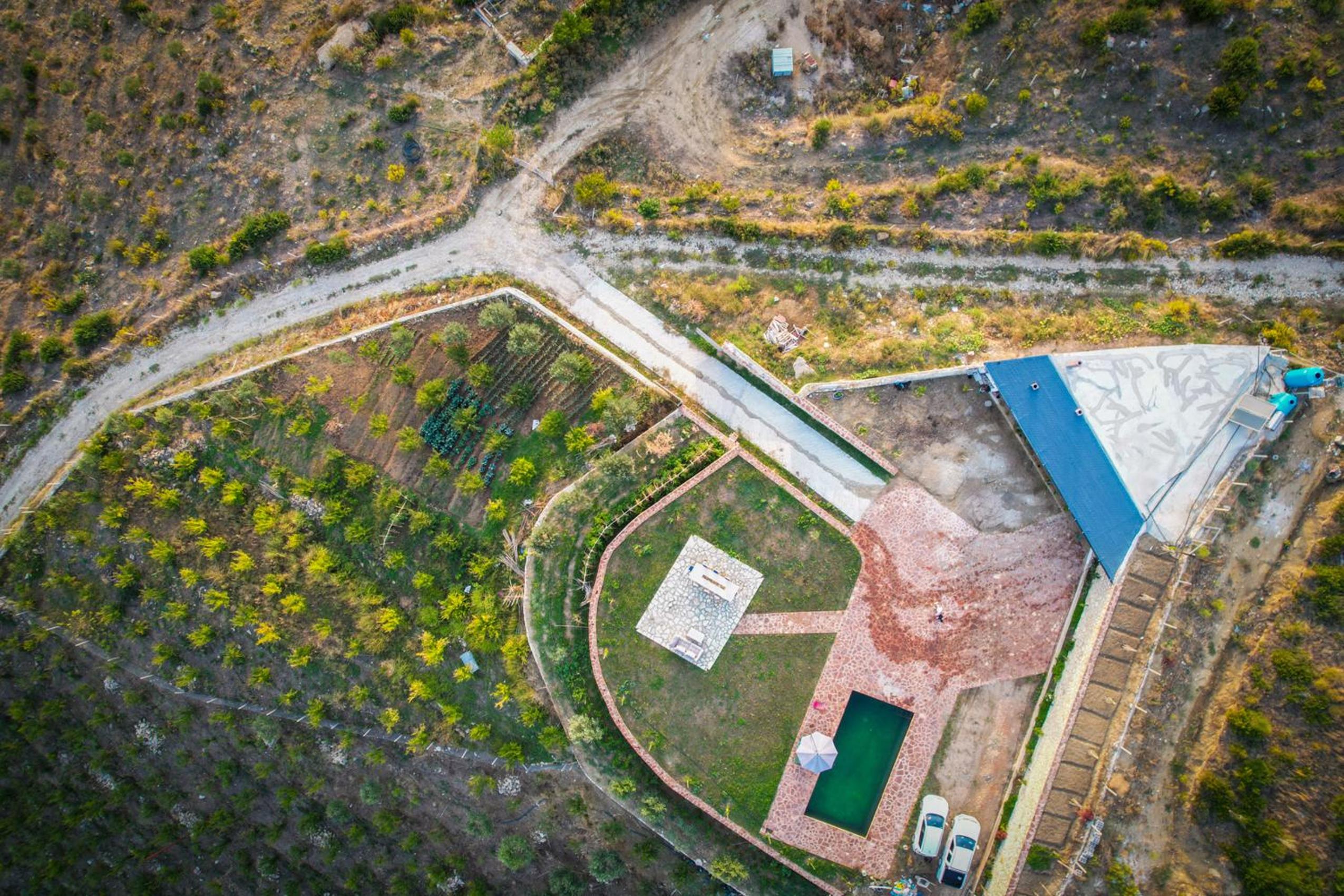 Dreamy Farm