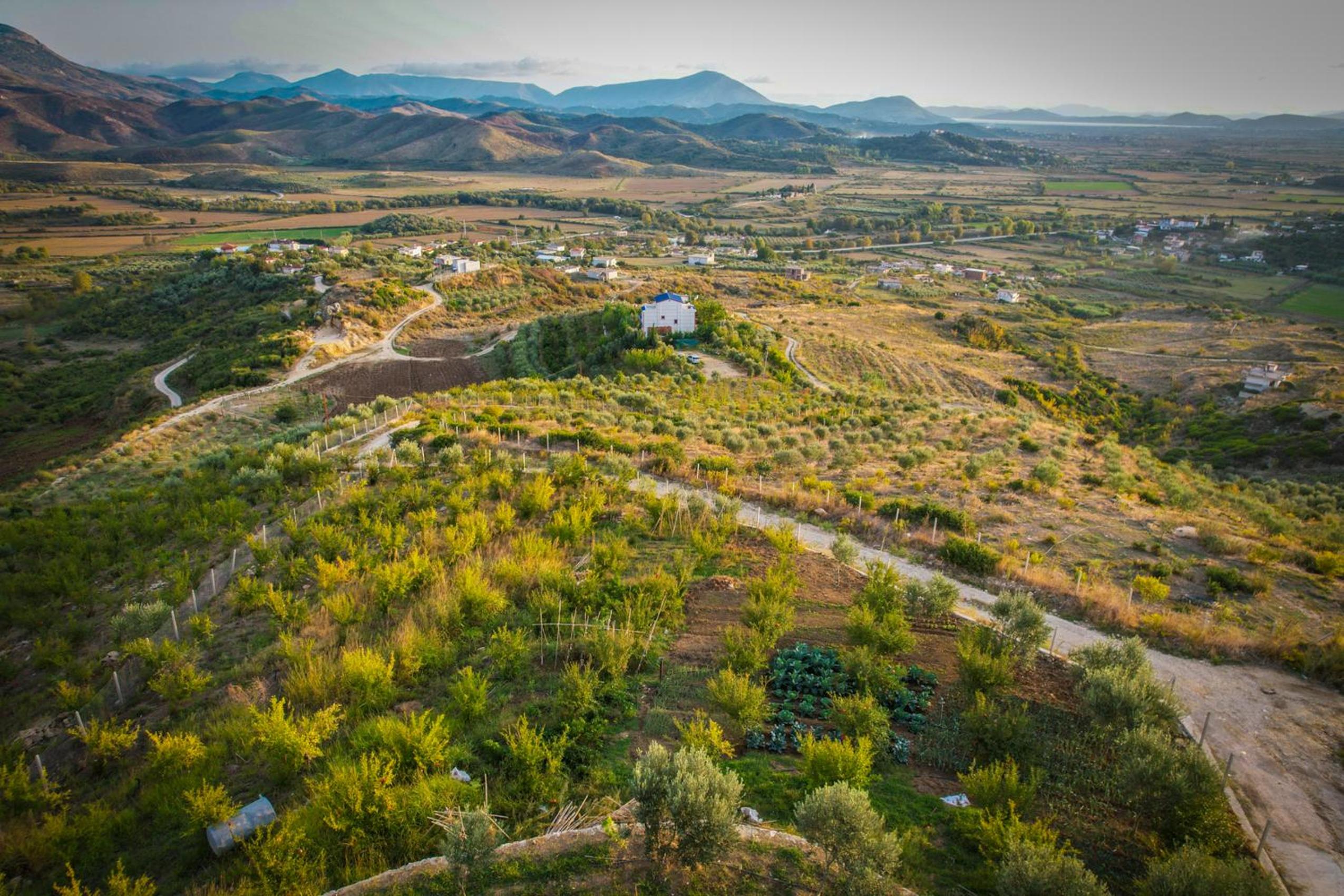 Dreamy Farm
