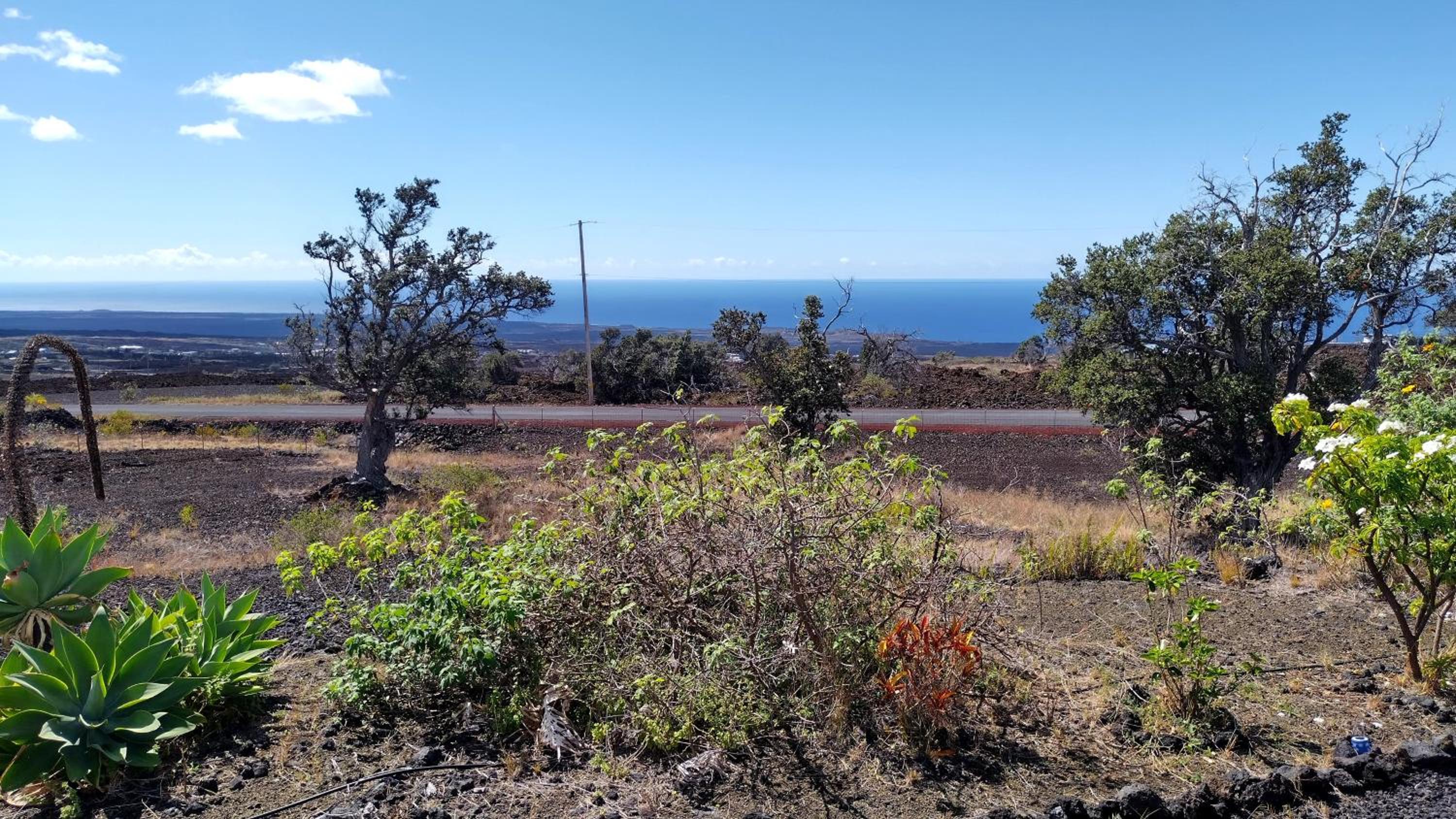 Ocean View Paradise! view 3