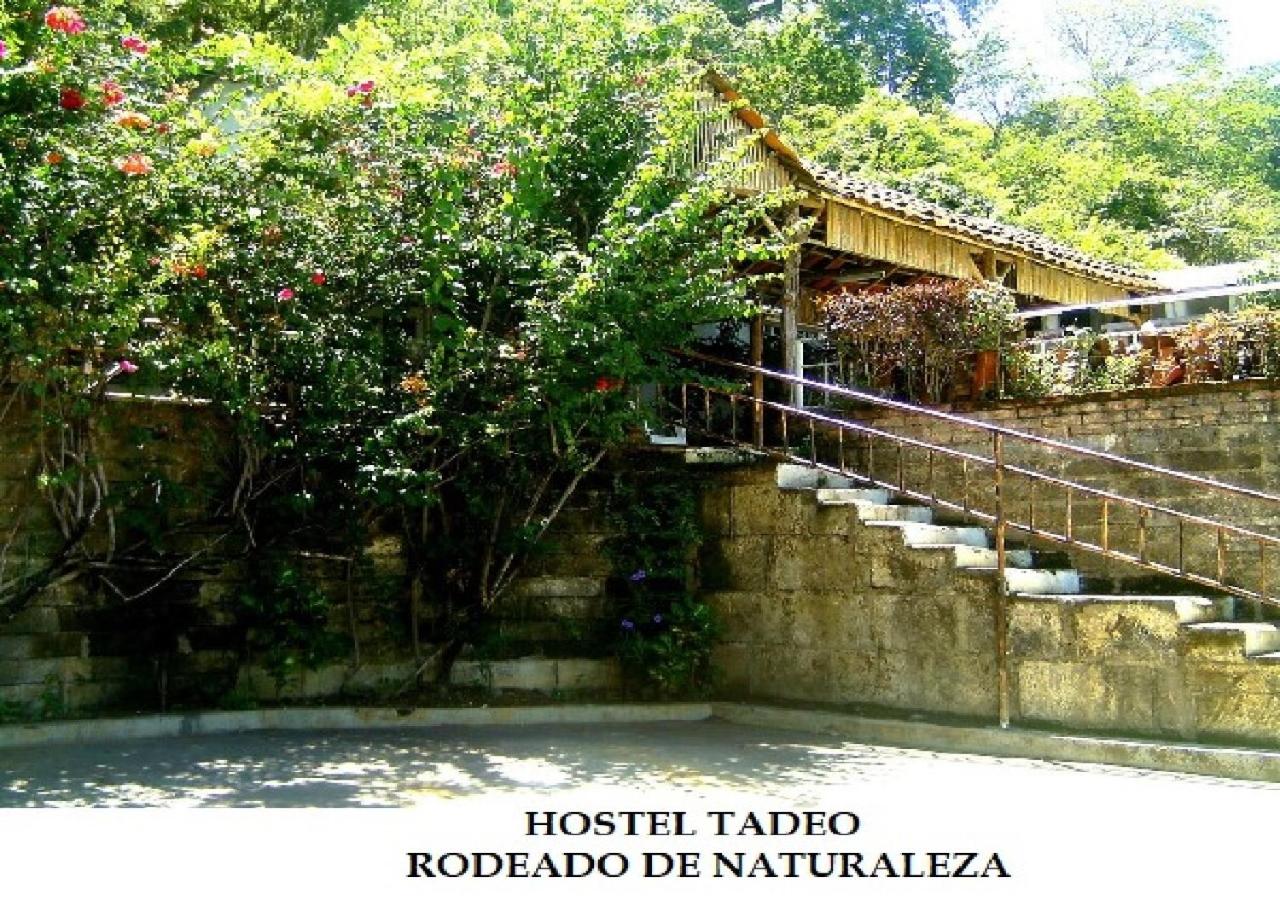 Hostel Tadeo San Juan del Sur, photo 22