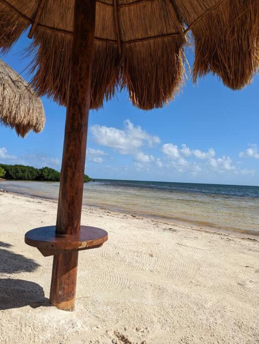 Peninsula Luxury Apartments with ocean front and espectacular views - no pets