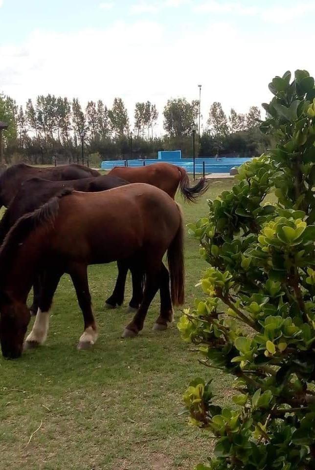 Complejo Aguas de Reposo CASA DE CAMPO