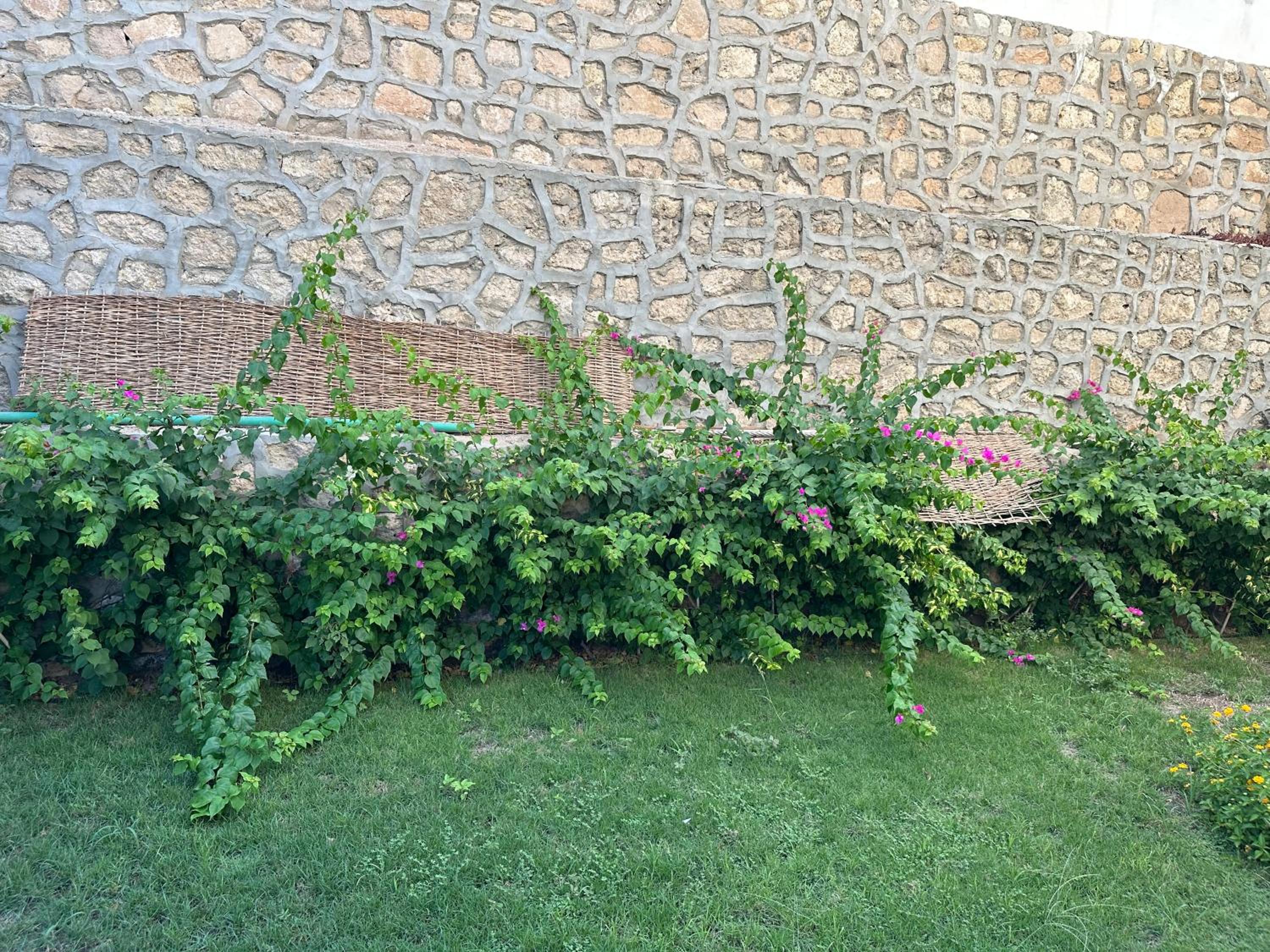 Photo 29