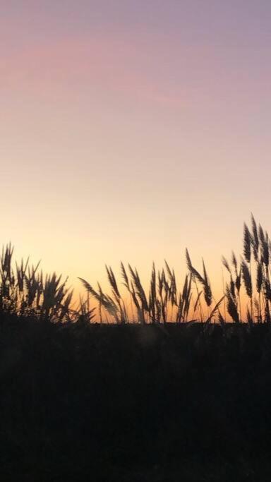 Casas del plata - Mar de las Pampas