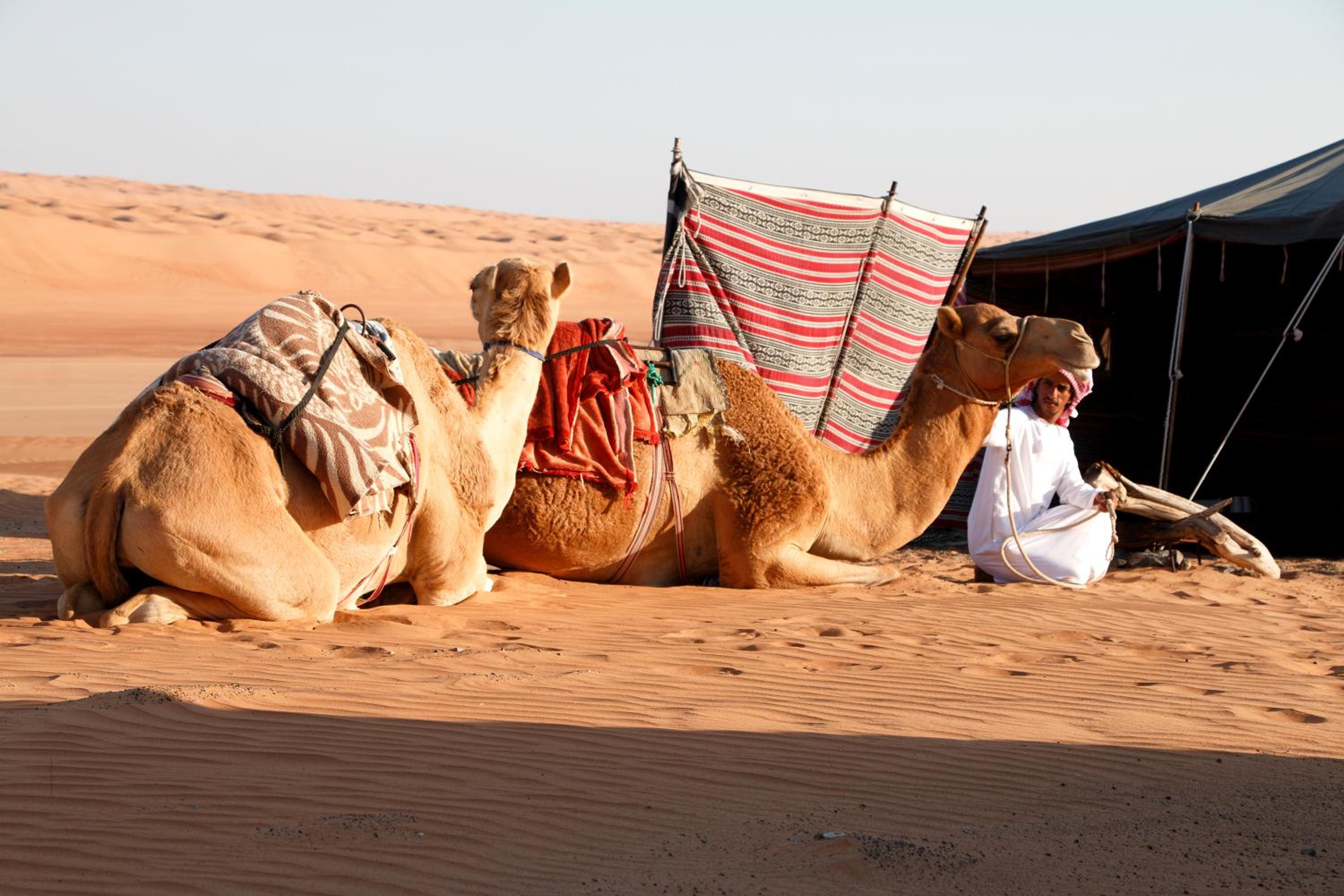 Private Camel Safari Camp view 5