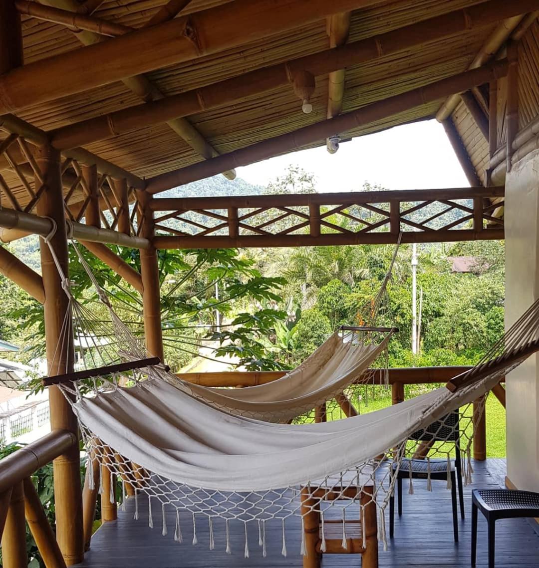 GOLDEN TREE MINDO ECO-LODGE