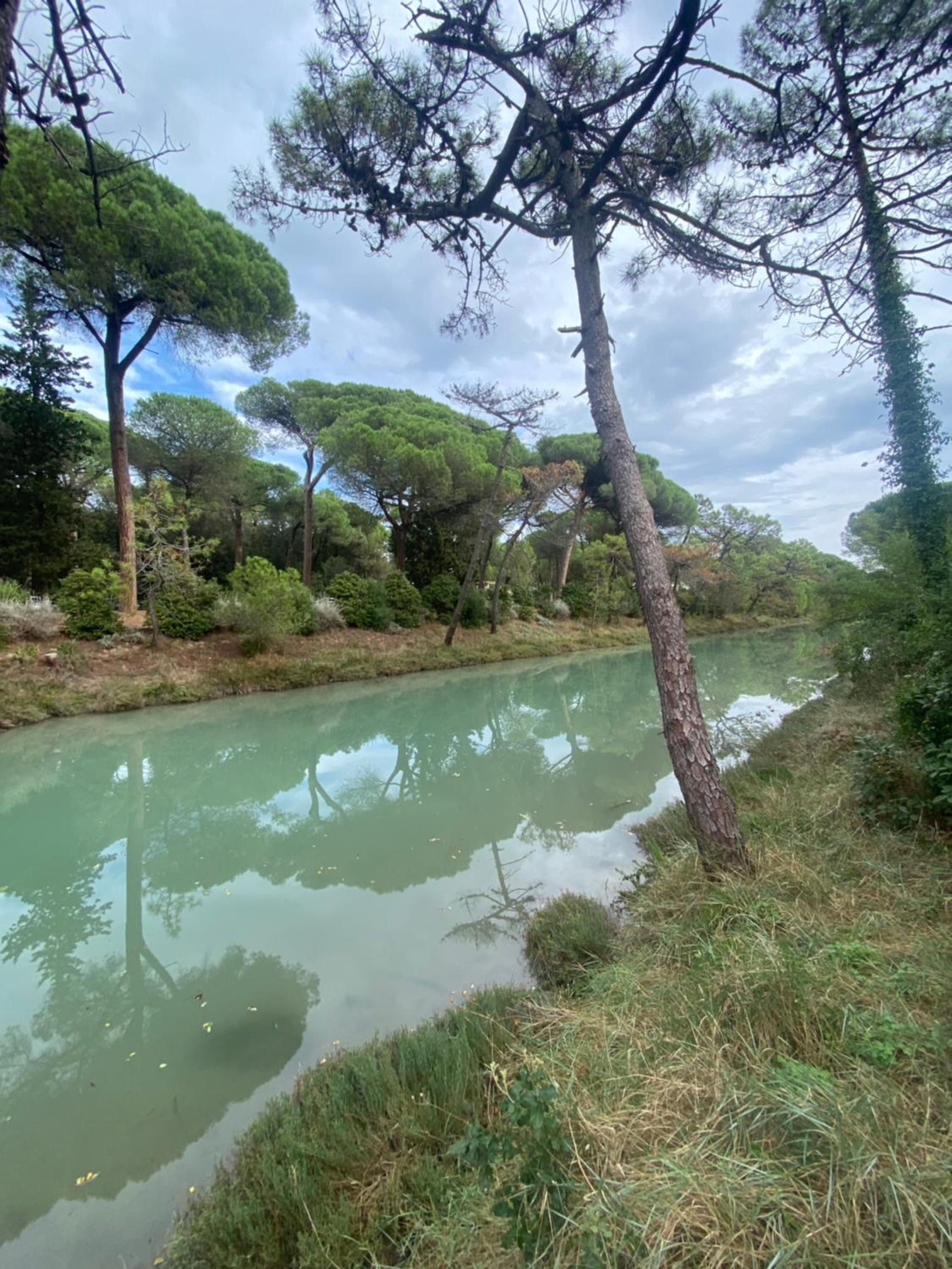 NEW HOME Via Verdi Milano Marittima view 4