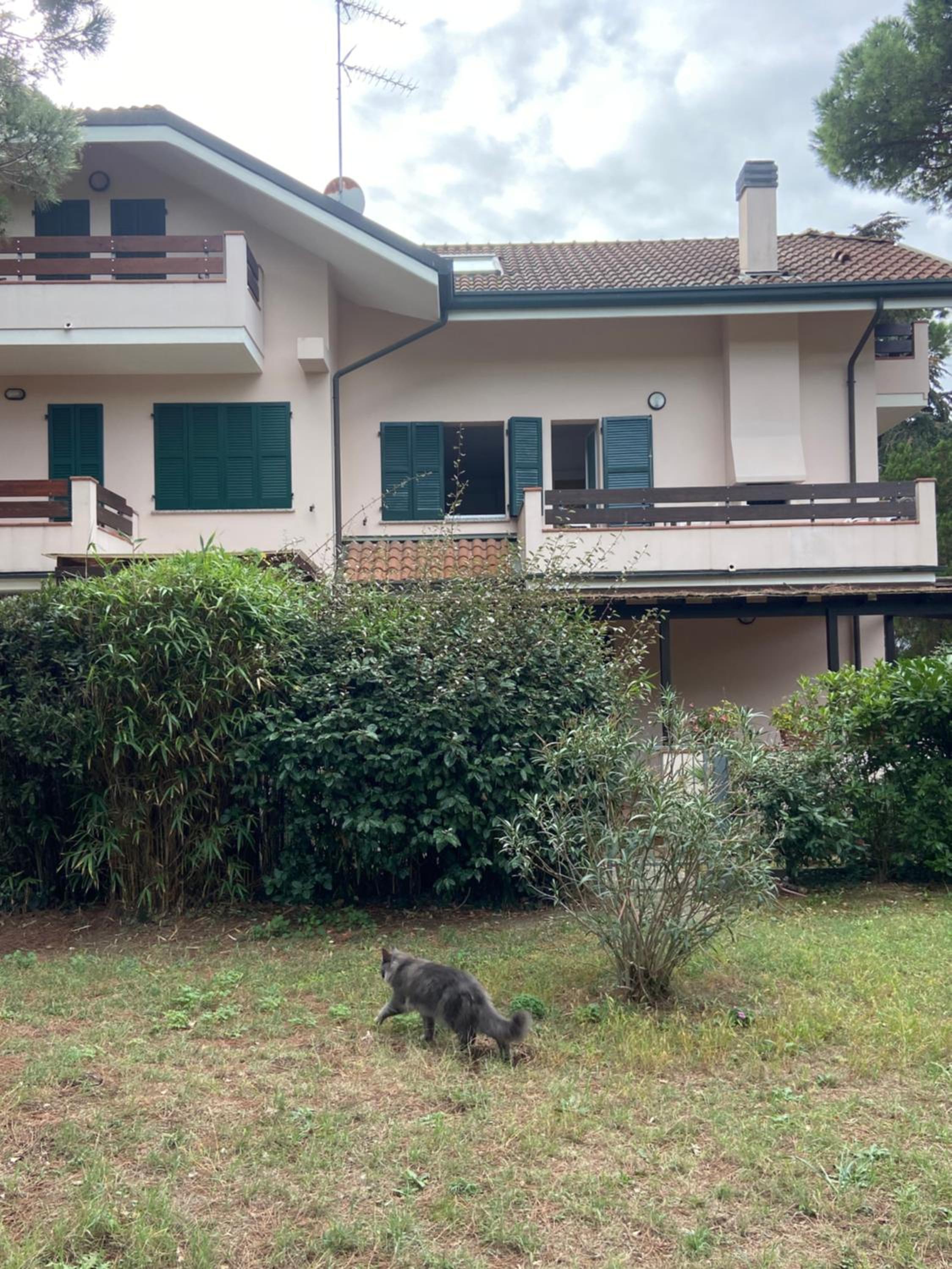 NEW HOME Via Verdi Milano Marittima view 3
