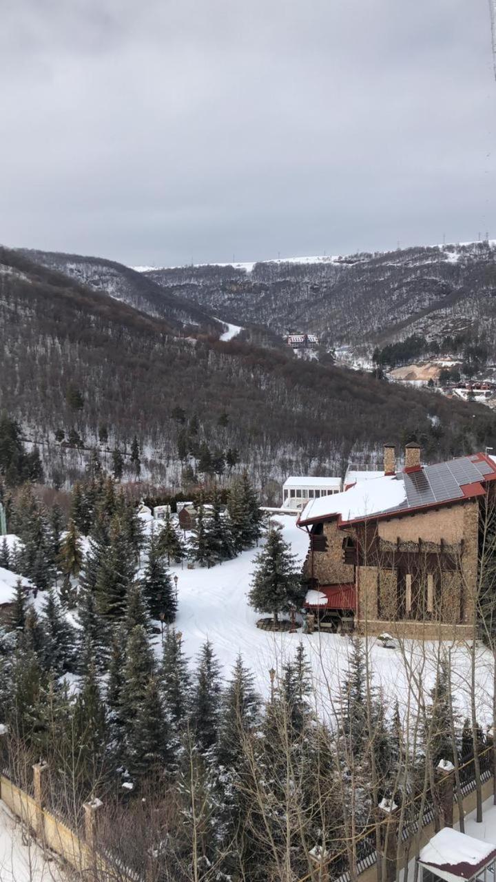 Luxury,2 level penthouse in Tsakhkadzor