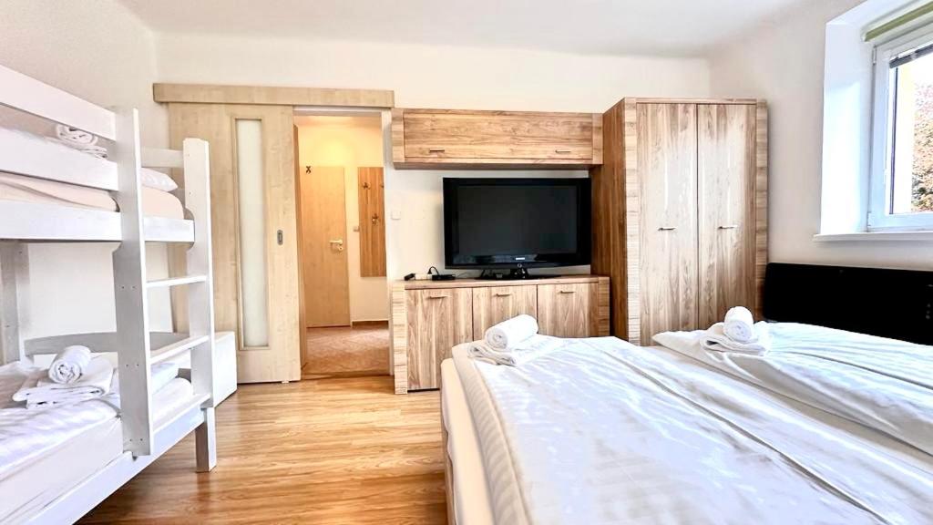 Apartmán Lukáš - Lipno nad Vltavou