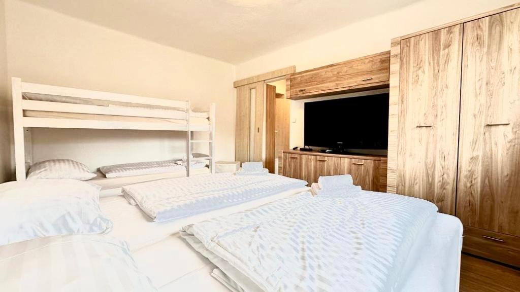 Apartmán Lukáš - Lipno nad Vltavou