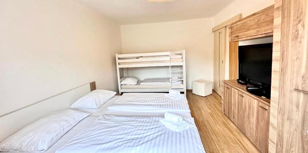 Apartmán Lukáš - Lipno nad Vltavou