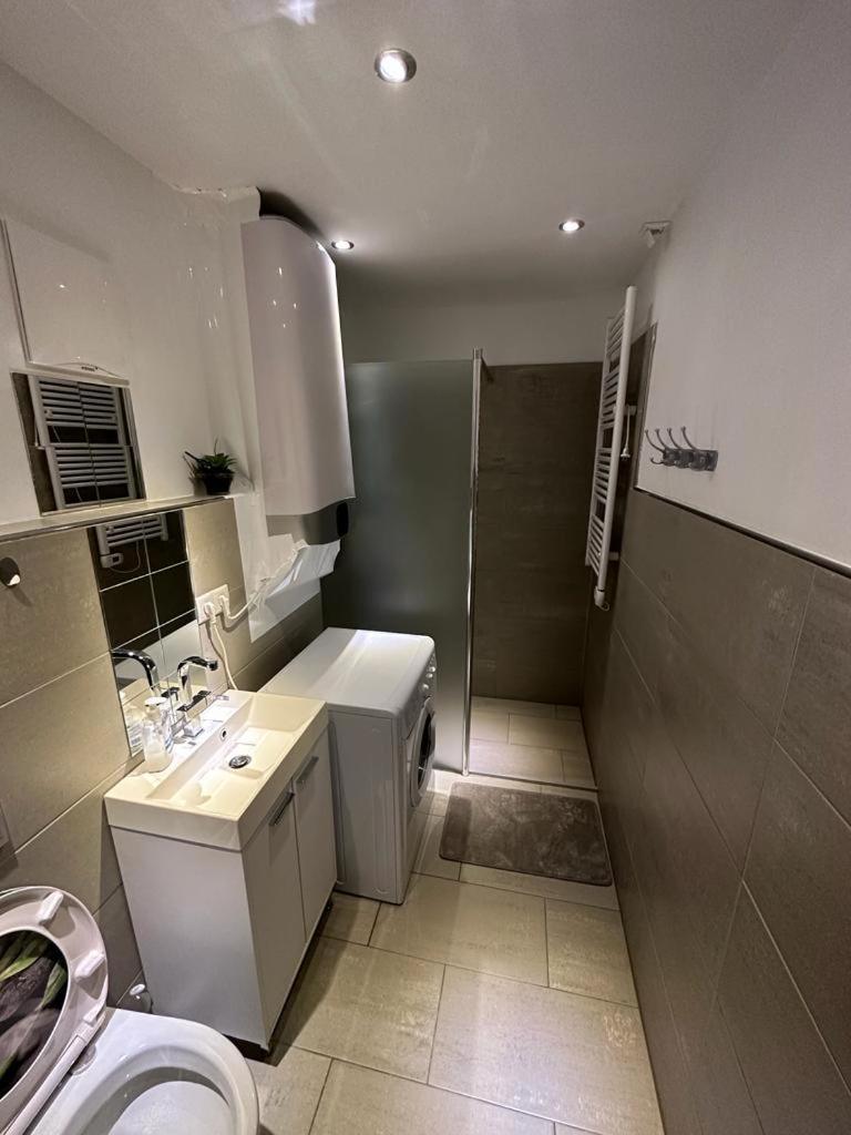 Apartment Baicu Zell am See