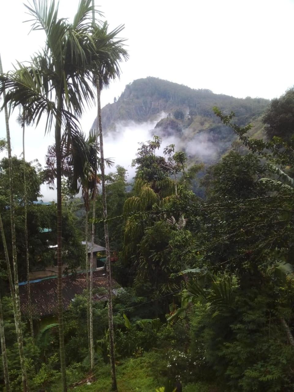 Misty Heaven