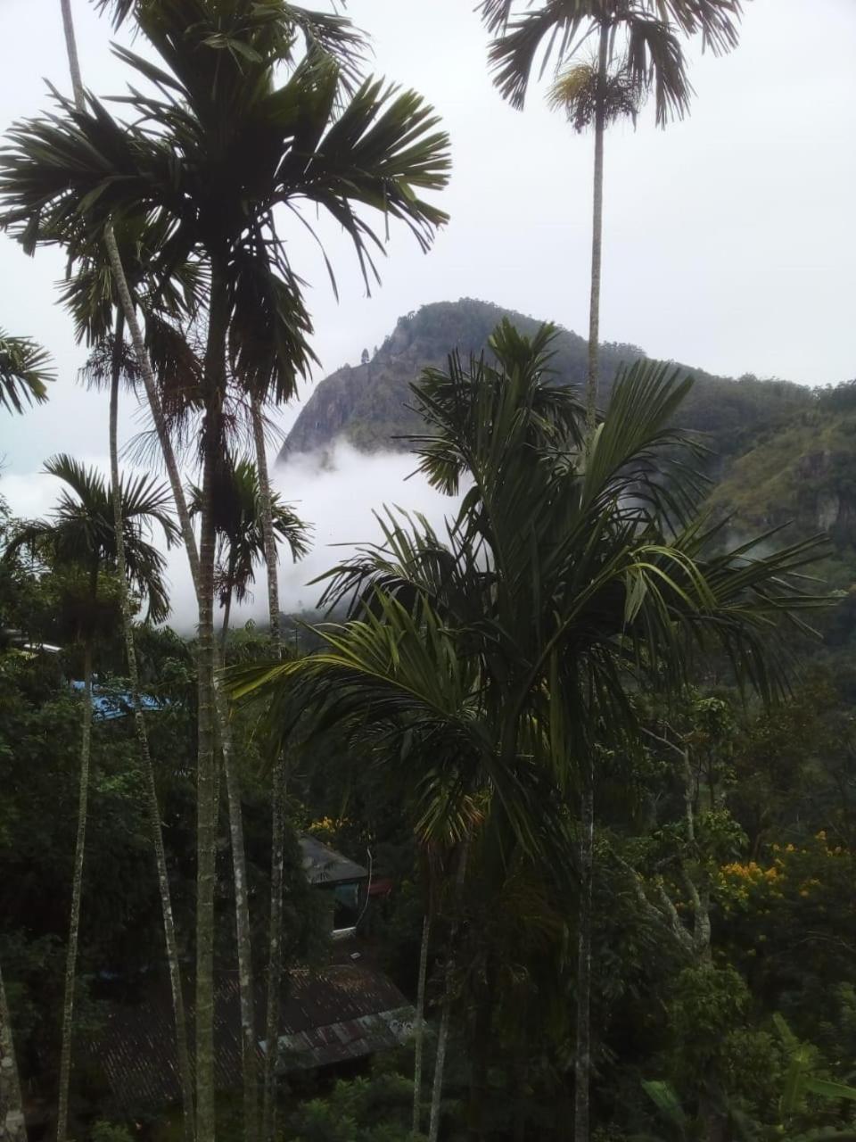 Misty Heaven