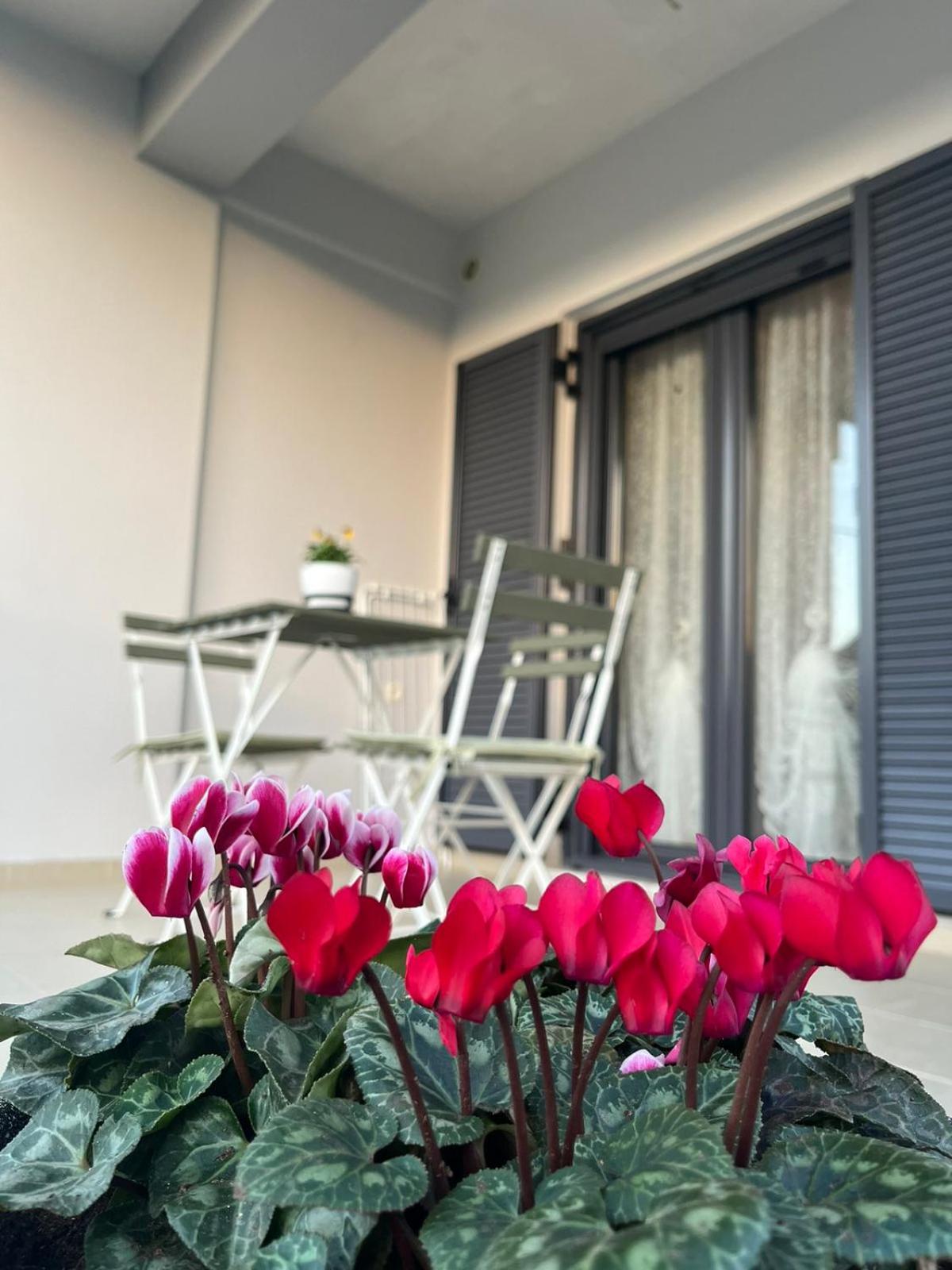 Themis Apartment