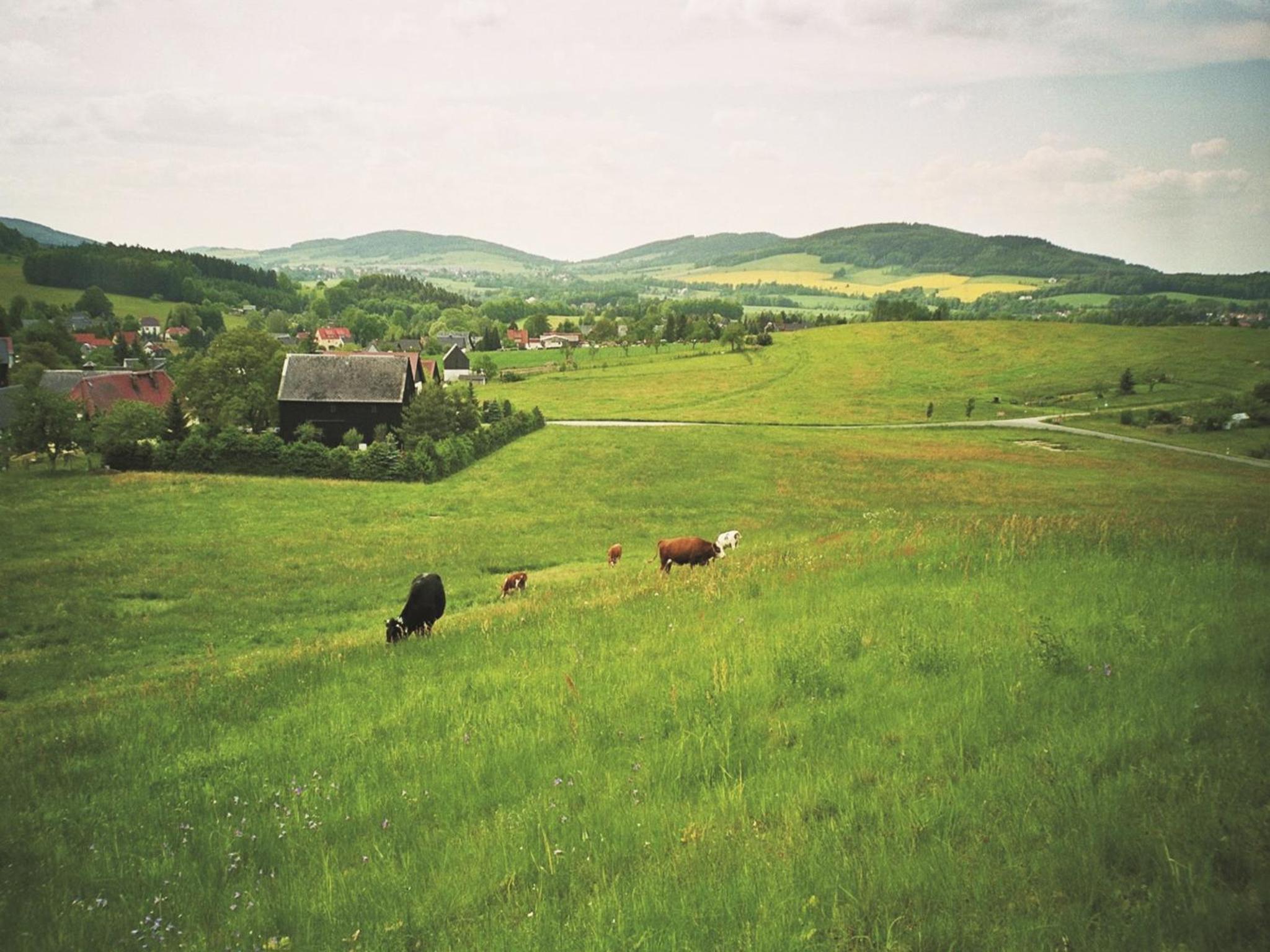 Ferienwohnungen Harmonie und Bergblick