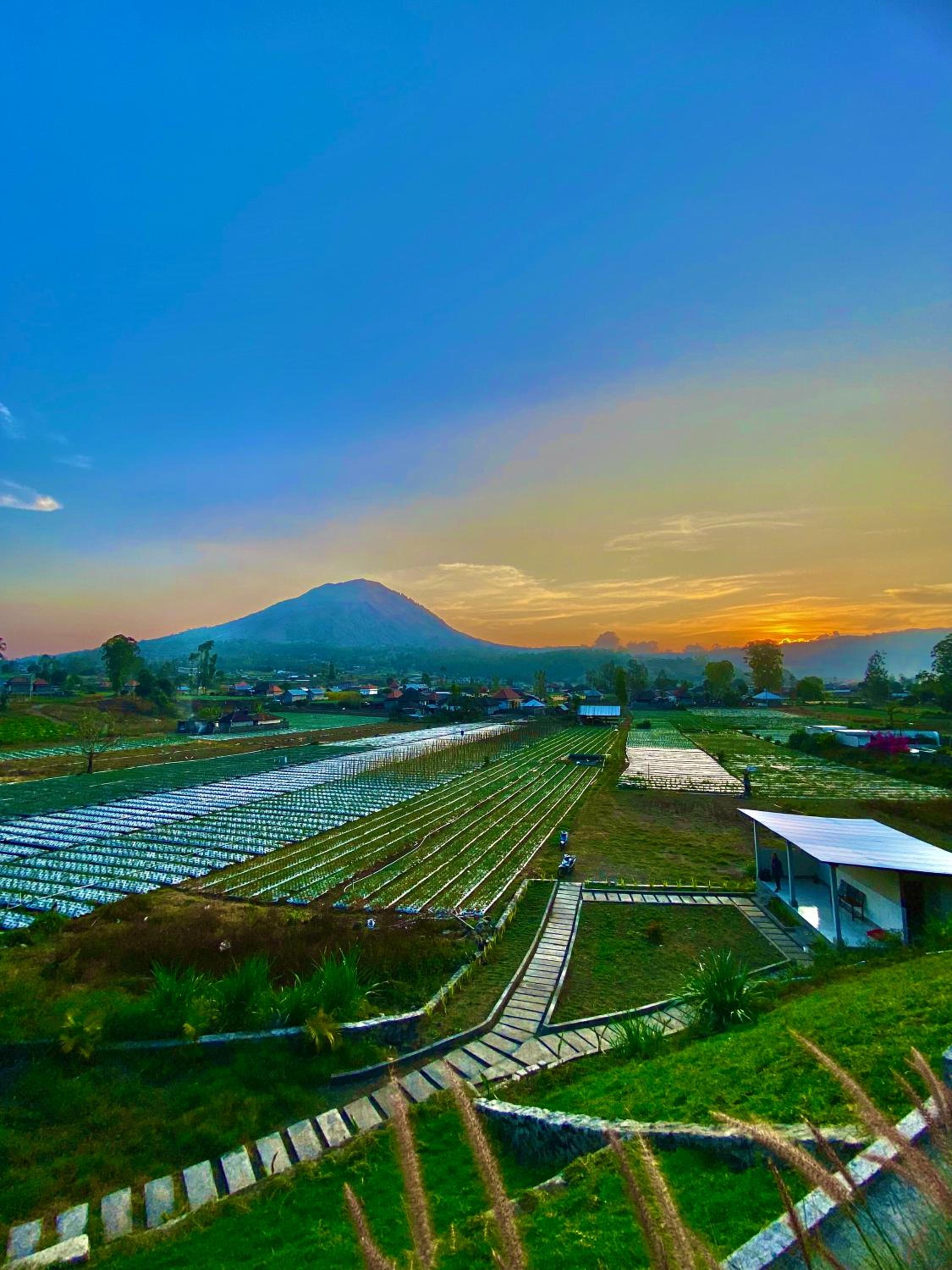 The Batur Elevation view 4
