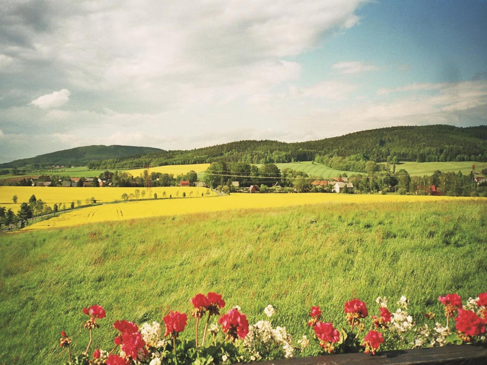 Ferienwohnungen Harmonie und Bergblick