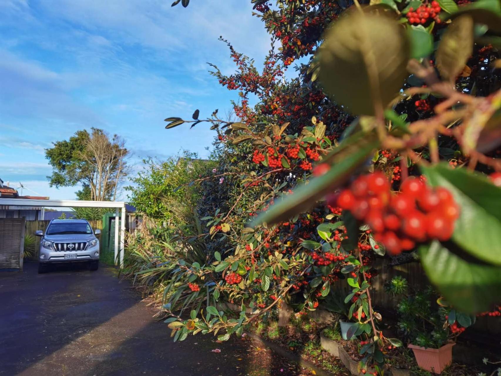 Epsom Red House view 4
