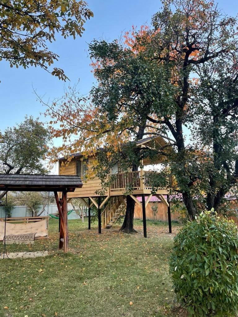 Casa Humulesti, fii vecinul lui Ion Creanga view 4