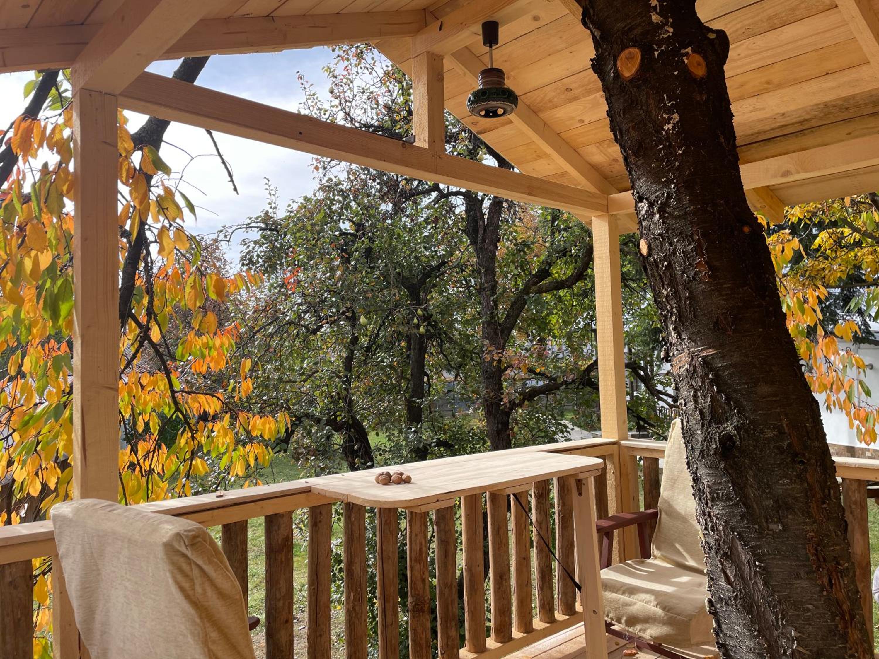 Casa Humulesti, fii vecinul lui Ion Creanga view 5