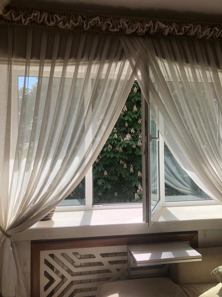 Cozy studio apartment in the center of Riga view 2