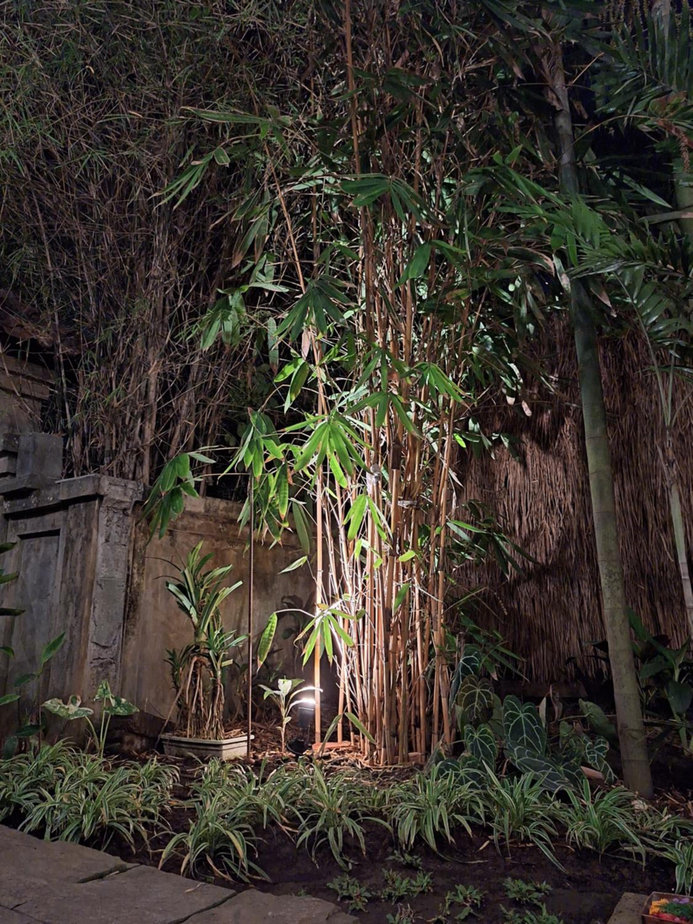 Kasapa Inn