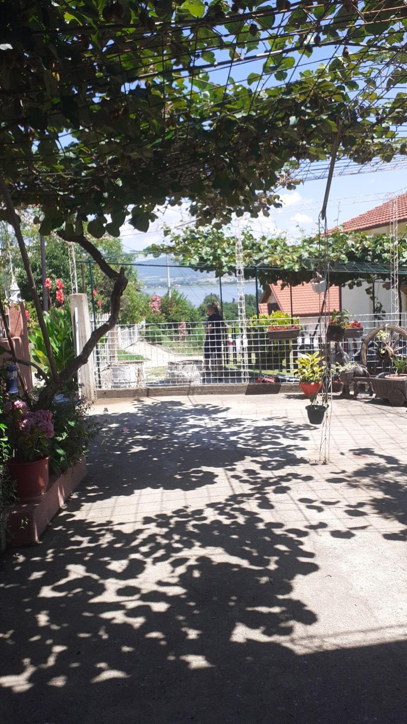 Vila Zoki view 5