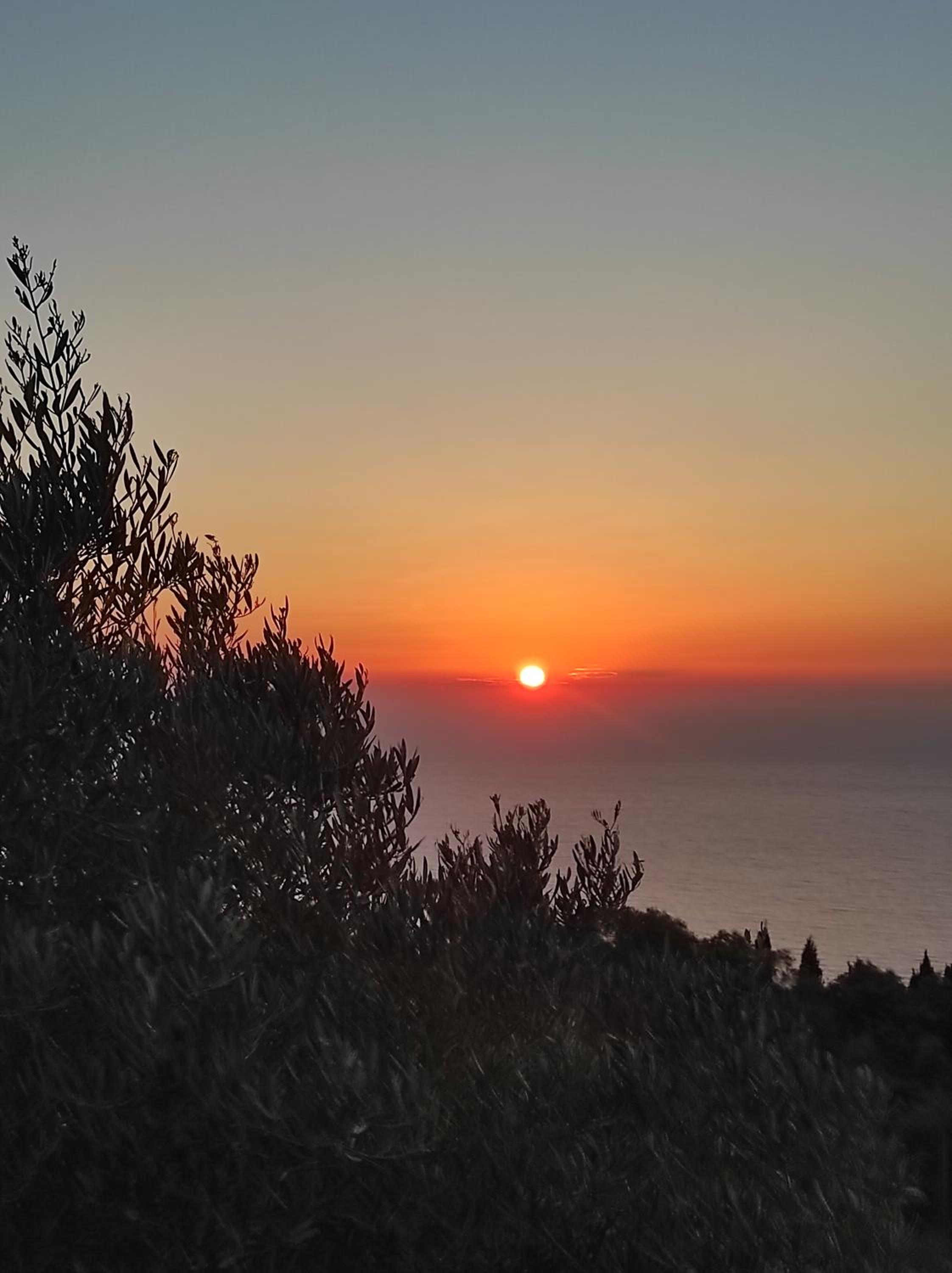 Stella Rossa