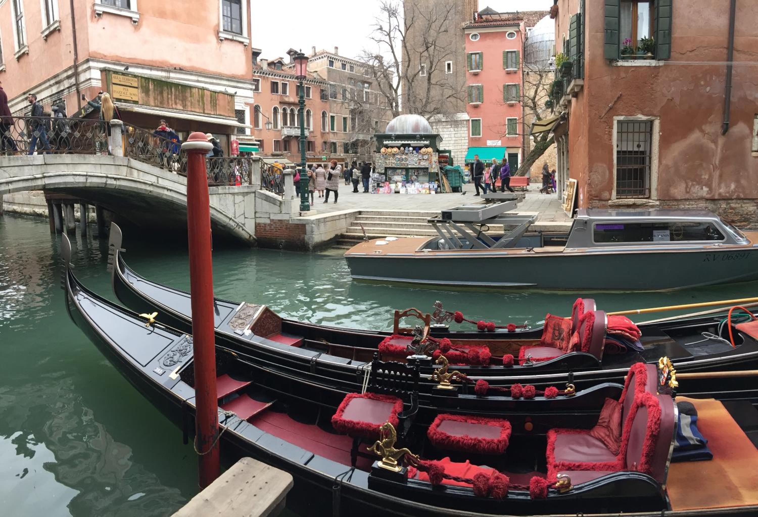 Beautiful Venice Greysclass
