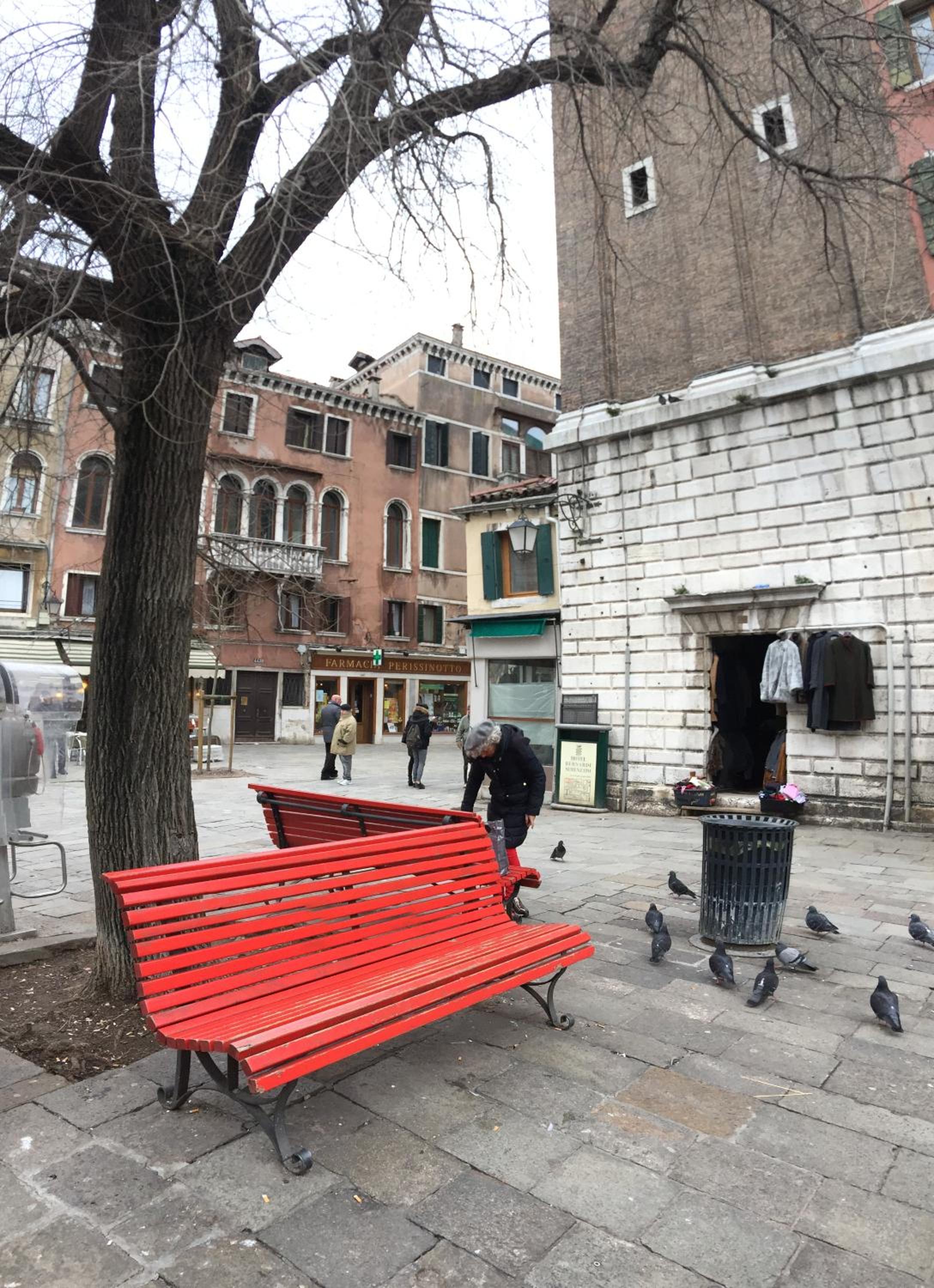 Beautiful Venice Greysclass