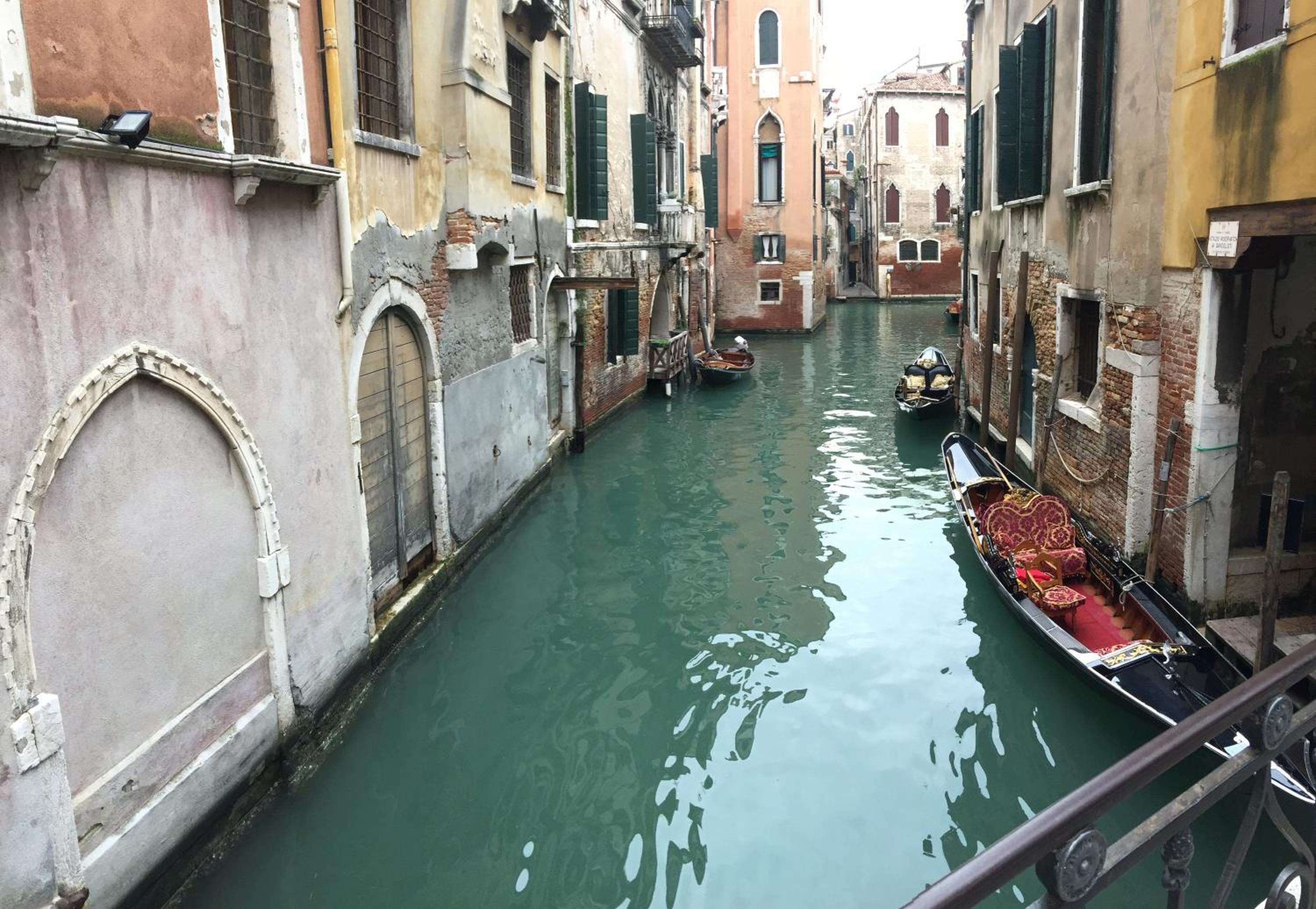 Beautiful Venice Greysclass