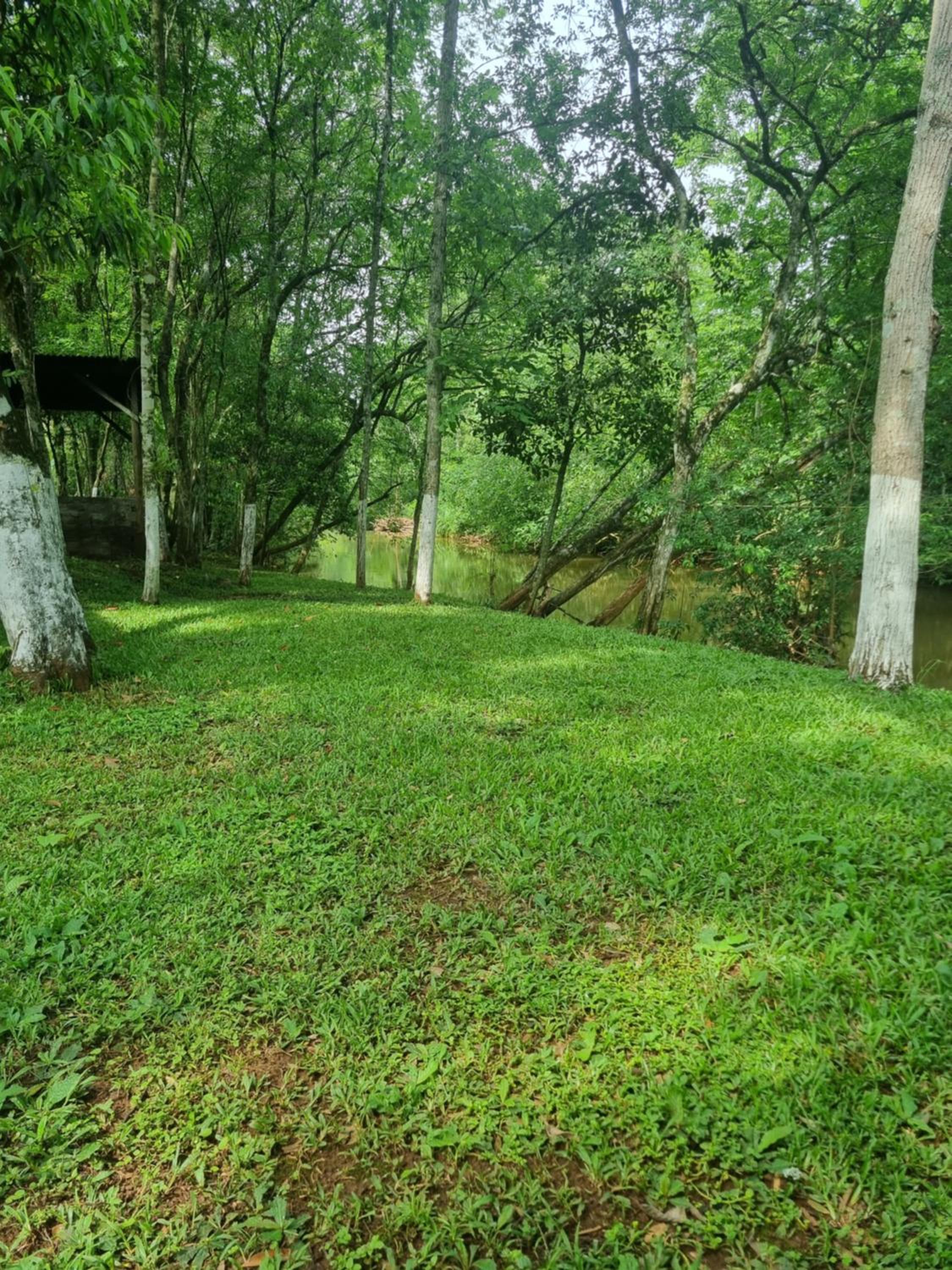 Hotel, Pousada e camping Recanto Nativo Caibi